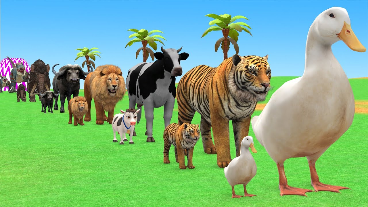Long Slide Game with Cow Elephant Gorilla Hippopotamus Tiger 3d Animal Game Funny 3d Animals