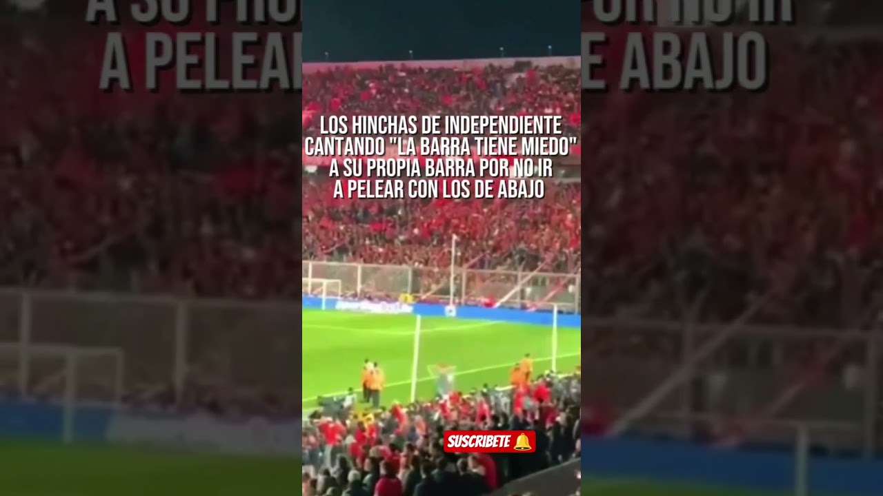 LA BARRA TIENE MIEDO 🎵 #independiente @Independiente @UdeChile #viral #noticias