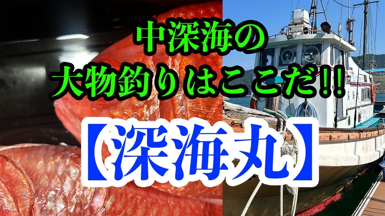でかい中深海の魚揚がってます‼︎【深海丸/和歌山県由良町】中深海五目便