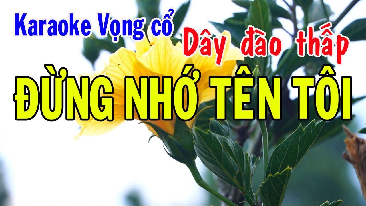 Karaoke vọng cổ ĐỪNG NHỚ TÊN TÔI - DÂY ĐÀO THẤP [T/g Viễn Châu]