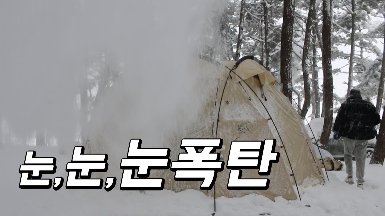 캠핑 내내 한파와 폭설주의보, 도토리tv와 만났어요, 눈 내리는 황홀한 풍경, 한파 동계 캠핑