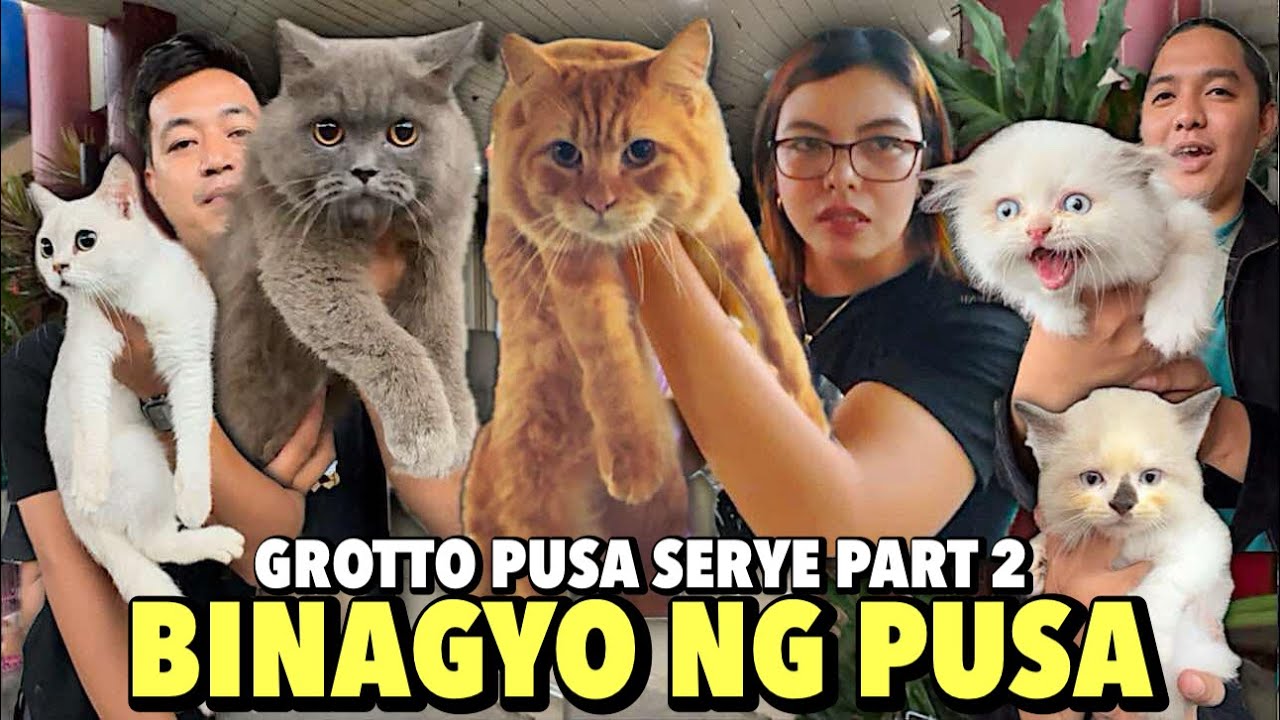 NAGBAHA NA NAMAN NG PUSA SA GROTTO | GROTTO PUSA SERYE PART 2 | NOVEMBER 17, 2024