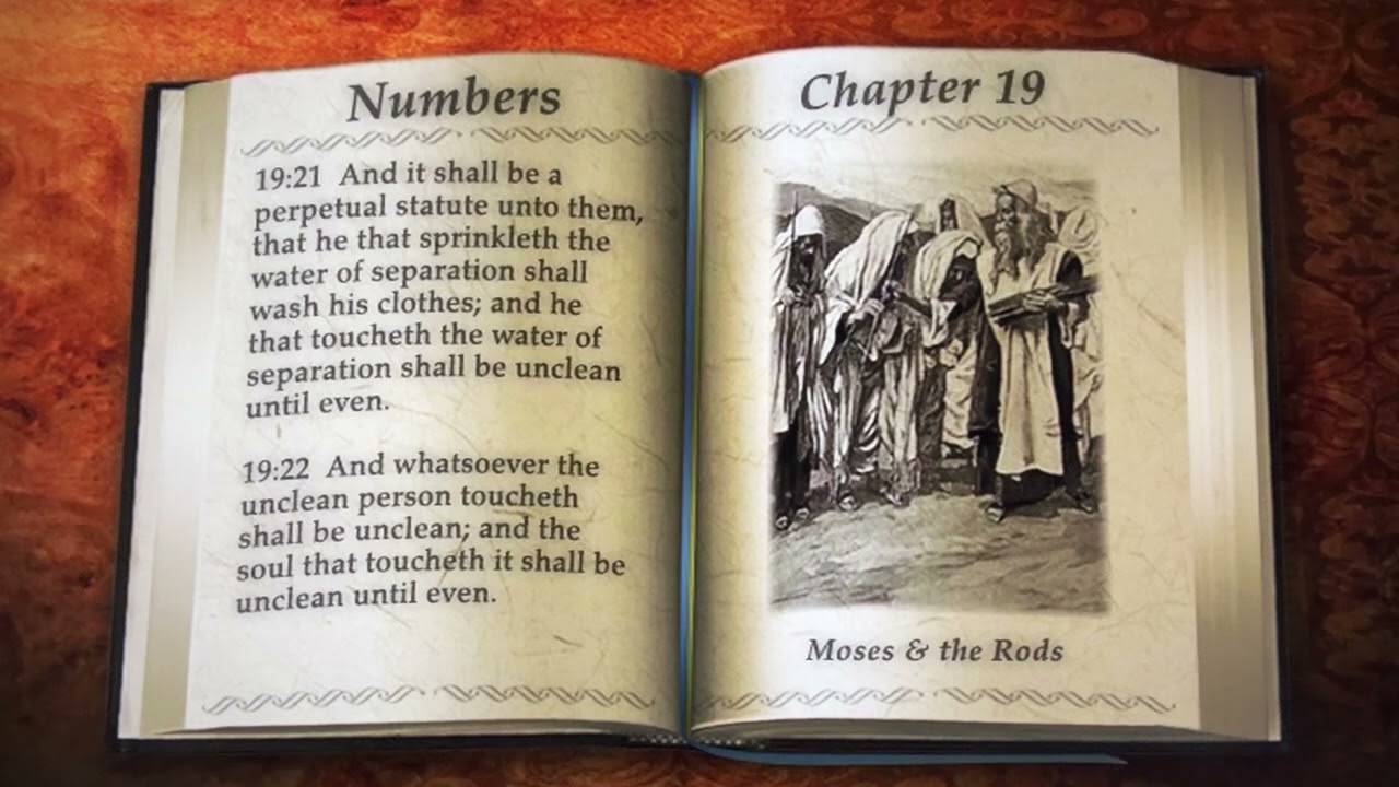 Numbers Chapters 18 - 20 For March 8