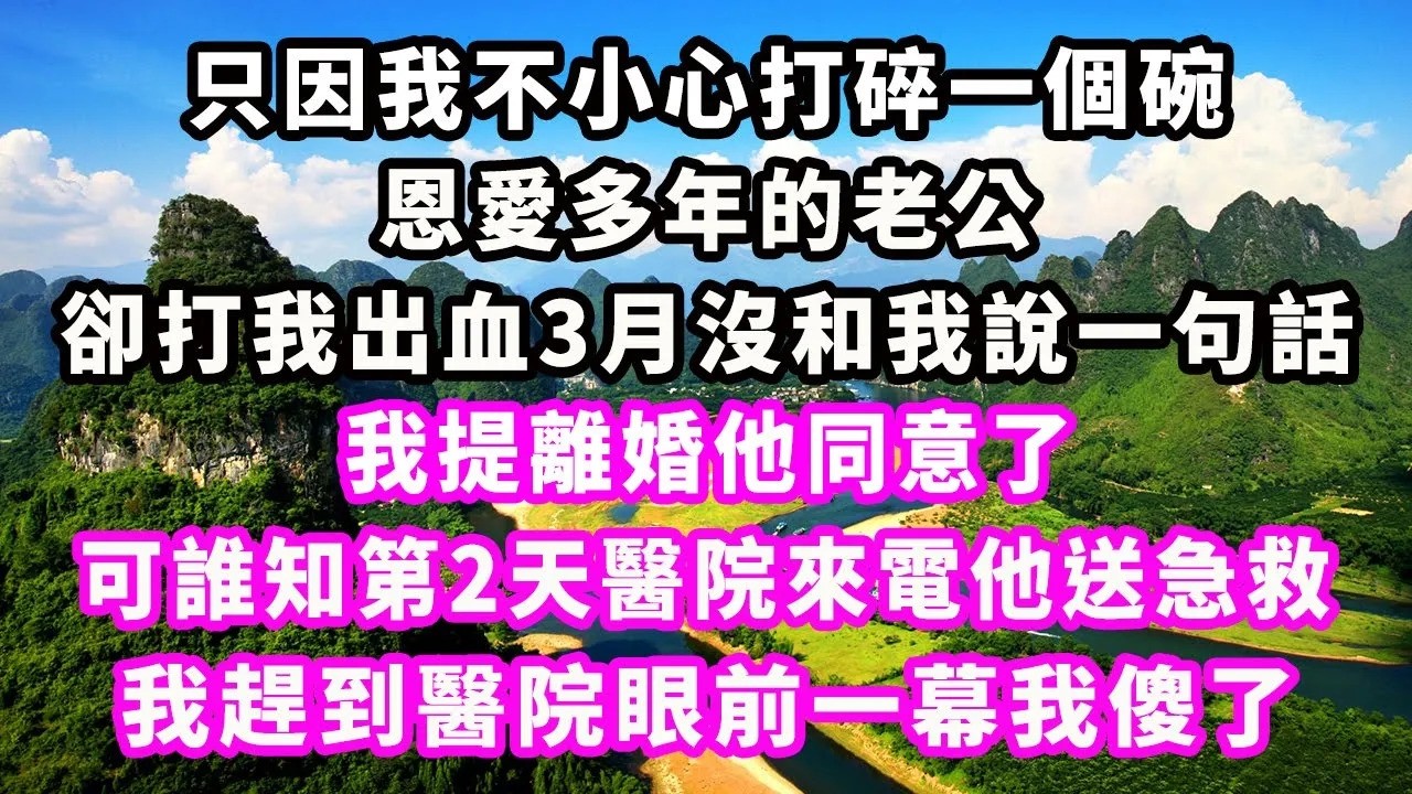 只因我不小心打碎一個碗，恩愛多年的老公卻打我出血3月沒和我說一句話，我提離婚他同意了，可誰知第2天醫院來電他送急救，我趕到醫院眼前一幕我傻了#爽文完結#一口氣看完#小三#豪門#霸總