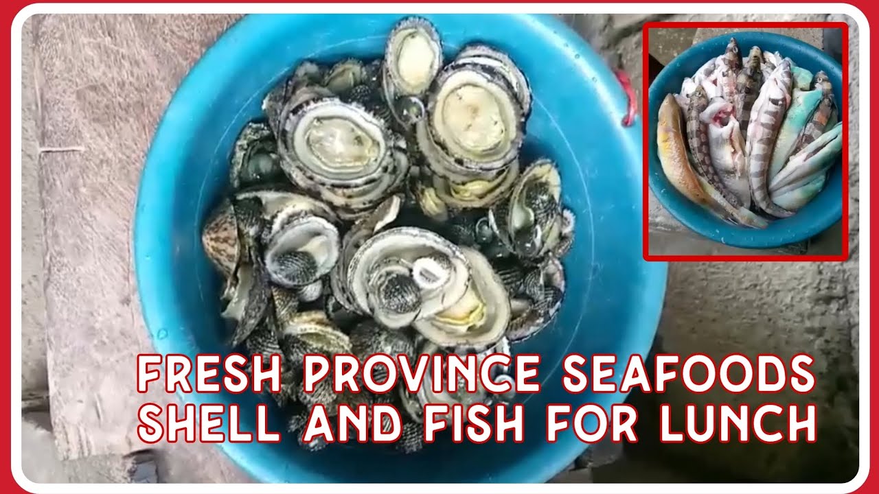 Fresh province seafoods shell and fish for lunch