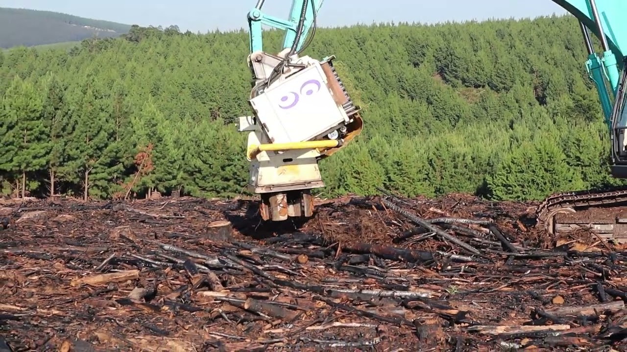 Risutec ASP360 Pitting and planting machine