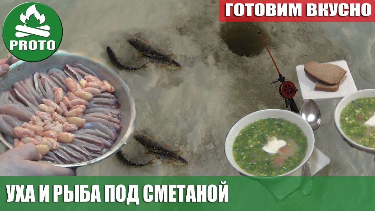 Готовим вкусно. Уха и рыба под сметаной