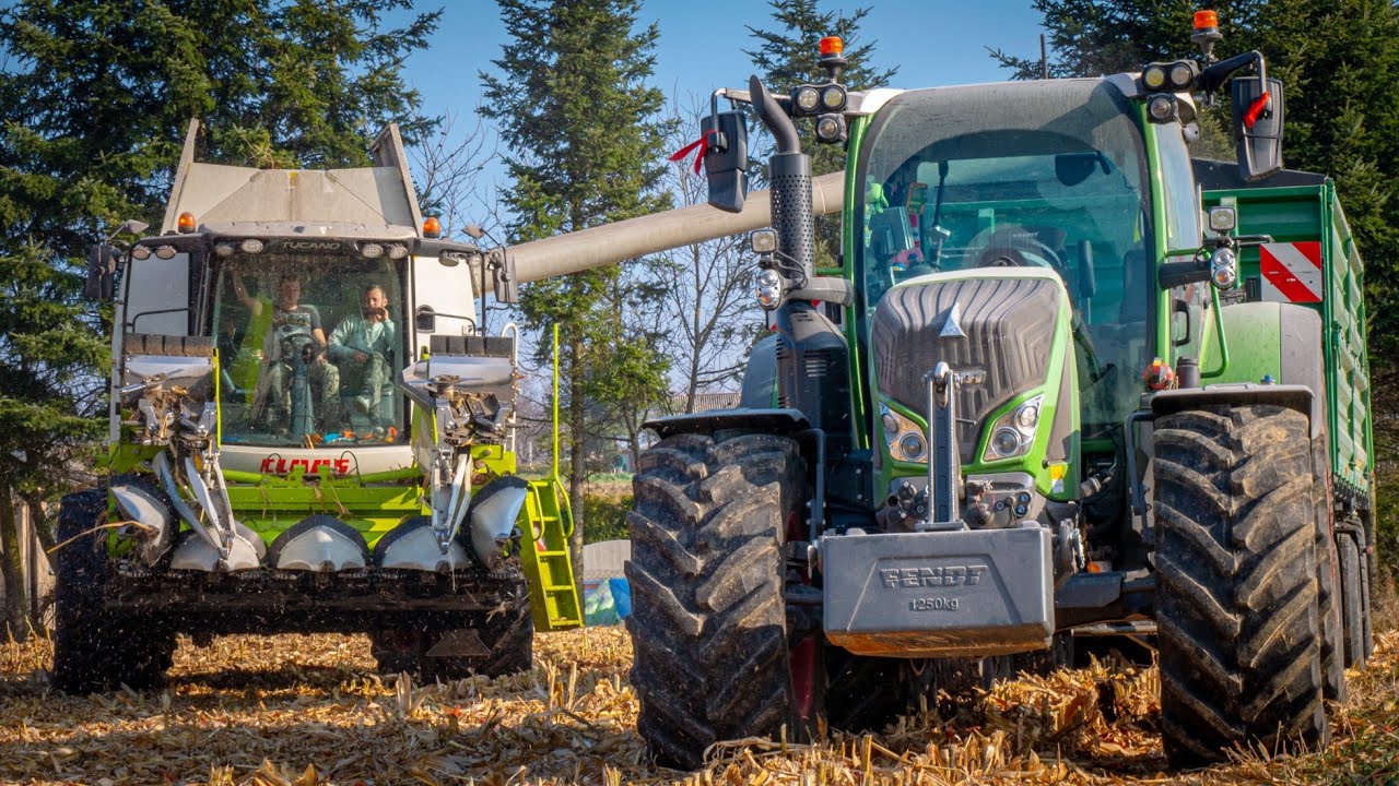 🌽 Koszenie Kukurydzy 2021 Na Ziarno 🚜 Claas Tucano 440 Axion 850 Fendt 718 Profi Plus 💥 GR Ciupa 🇵🇱