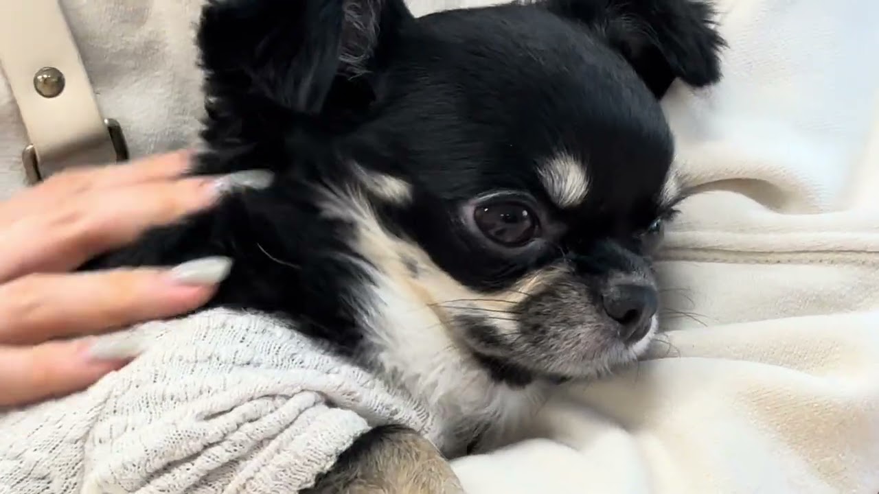 오랜만에 민지쌤♥️