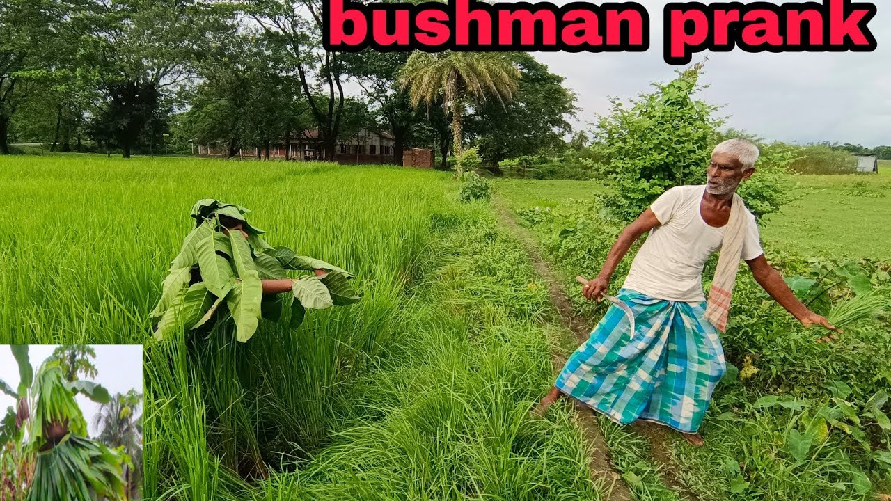 😁😁STATUE PRANK NEW| BUSHMAN PRANK