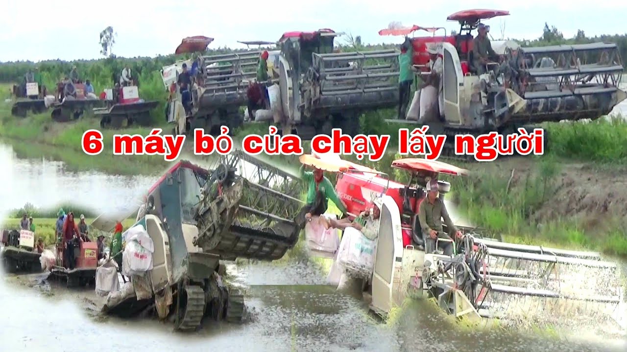CUỐI CÙNG 6 MÁY CẮT KUBOTA DC105X ĐÀNH BỎ CUỘC VỚI ĐẤT BAN
