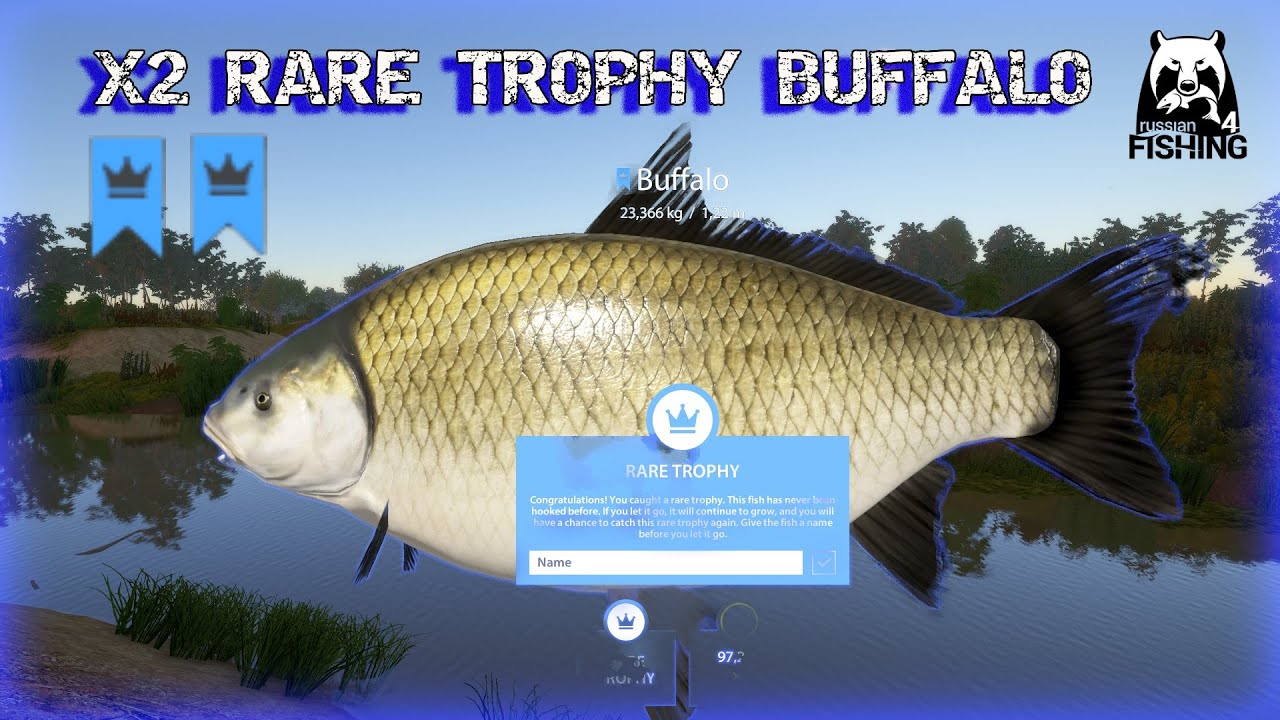 Russian Fishing 4 RF4 Akhtuba River | X2 RARE TROPHY BUFFALO