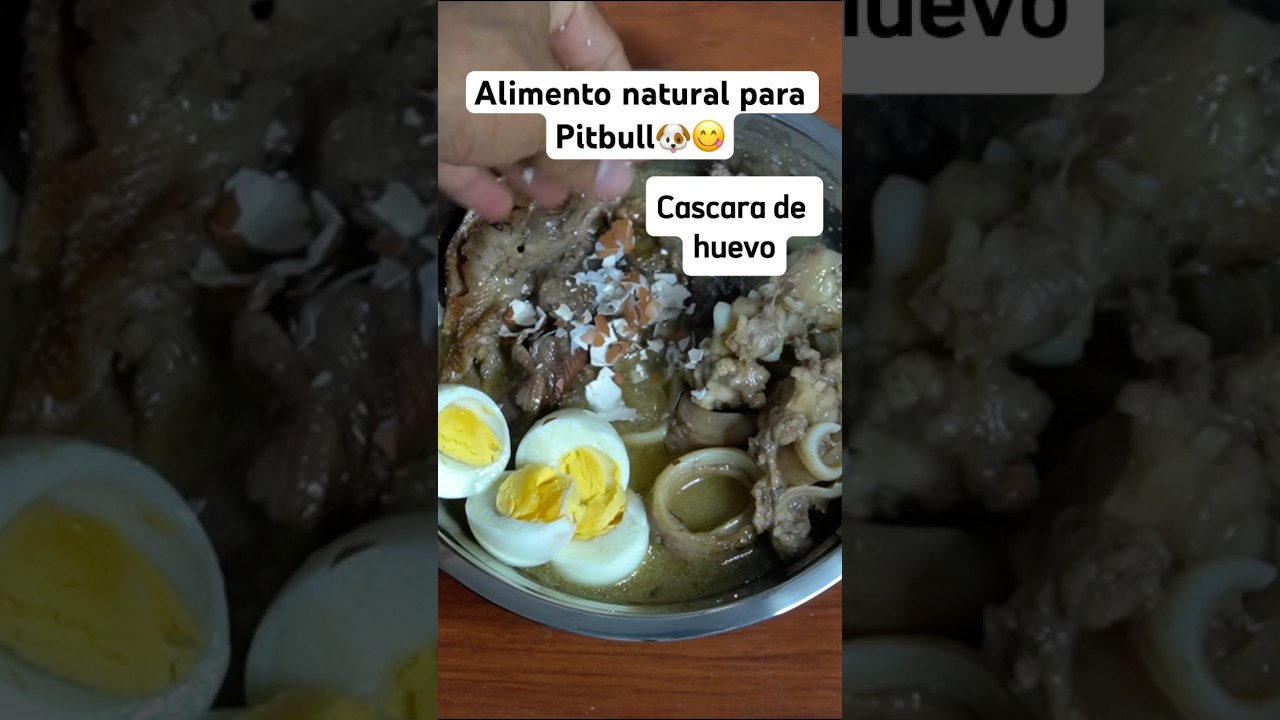 Dieta natural cocida para Perros 🐶✅🥩 #pitbull #perros #dieta #food