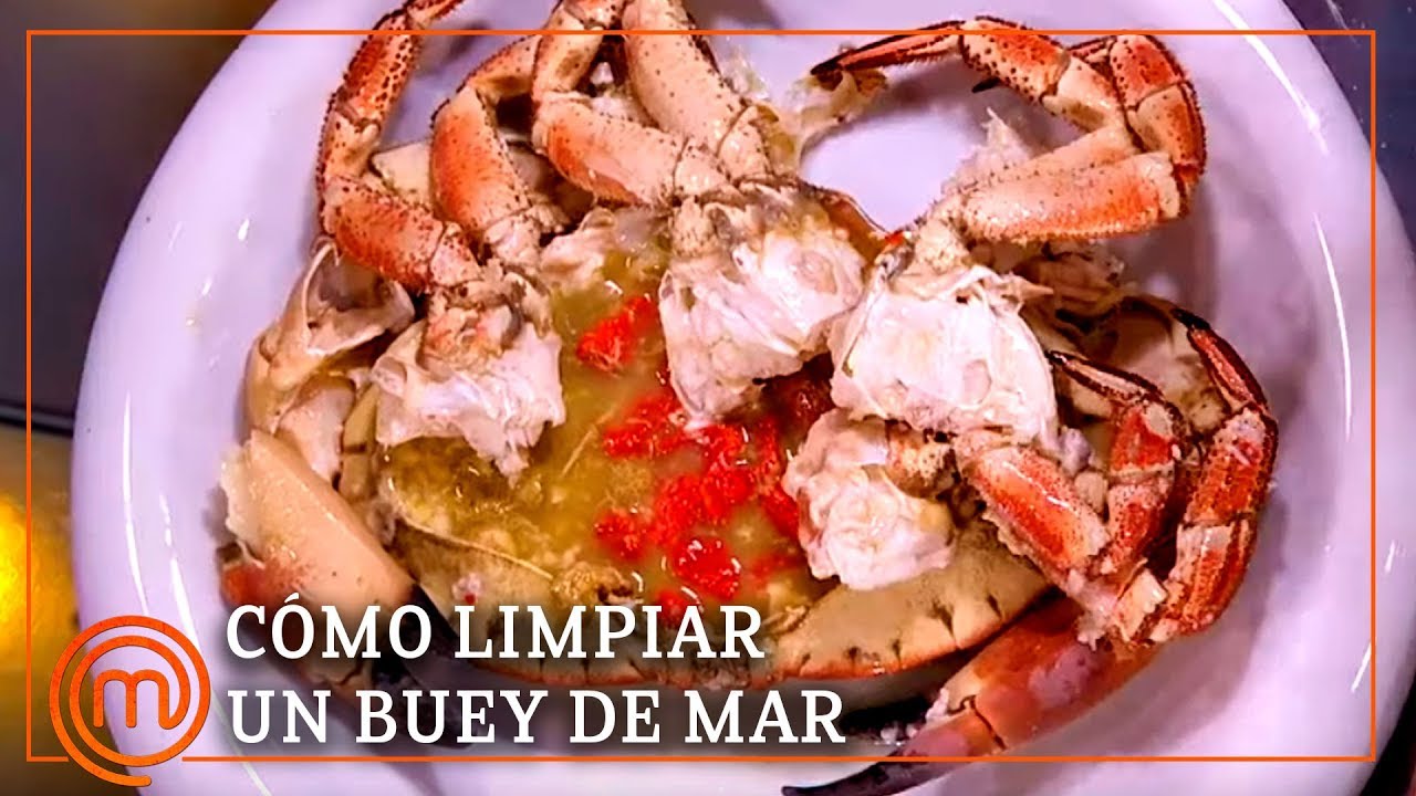 Cómo limpiar un BUEY DE MAR a la perfección | MasterChef Celebrity 4