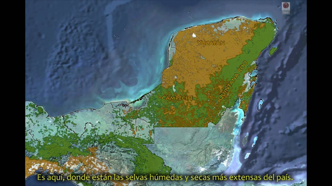 CONABIO - Calakmul - La reserva tropical m&aacute;s grande e importante de M&eacute;xico