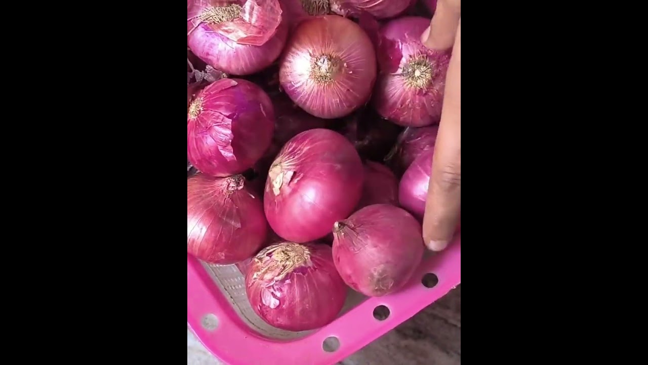New mini vlog 🌷👍#viral #vlog #viralvideo #subscribemychannel #cookingrecipe #trendingvideo #popular 