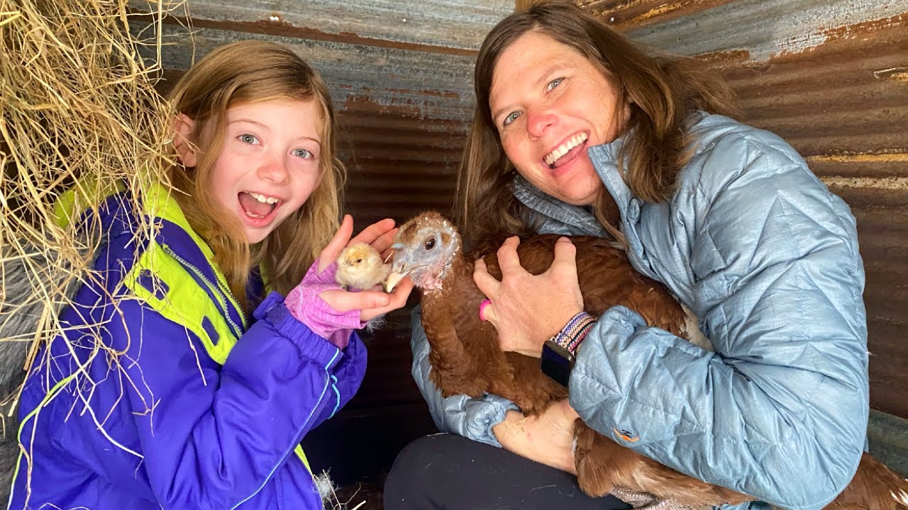 You're NOT Going To Believe What Our Turkey Just Hatched!! (This Farm Life)