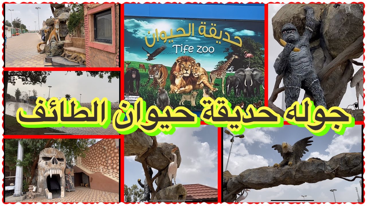 جوله حديقة حيوان الطائف ٢٠٢٢ #السعودية