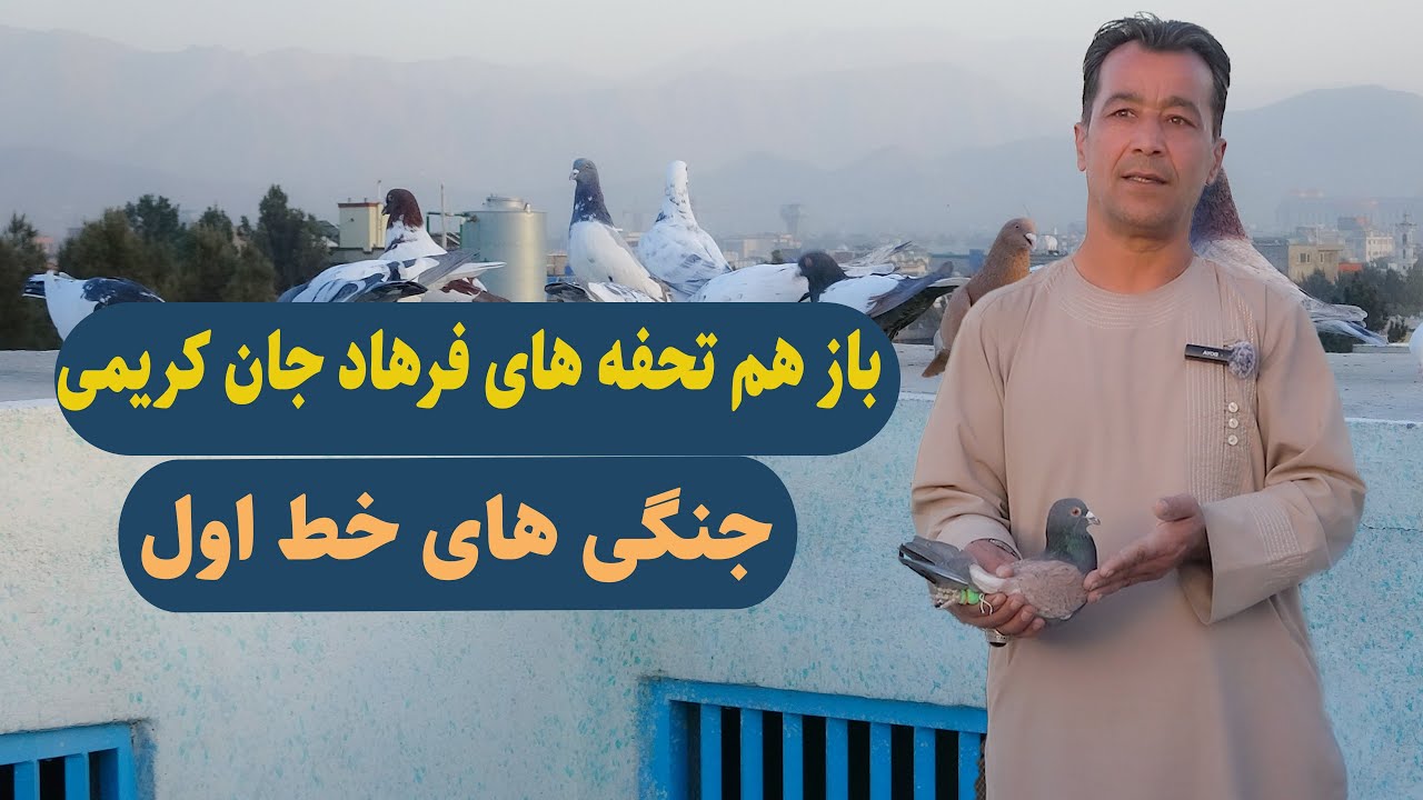 00365- باز هم تحفه های فرهاد کریمی  جنگی های خط اول/ Afghan Shawqi