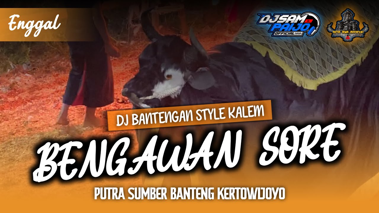 DJ BANTENGAN ❗️”PUTRA SUMBER BANTENG” ( BENGAWAN SORE/TEMBANG PUNGKASAN ) FROM @DJSAMPAIJOOFFICIAL