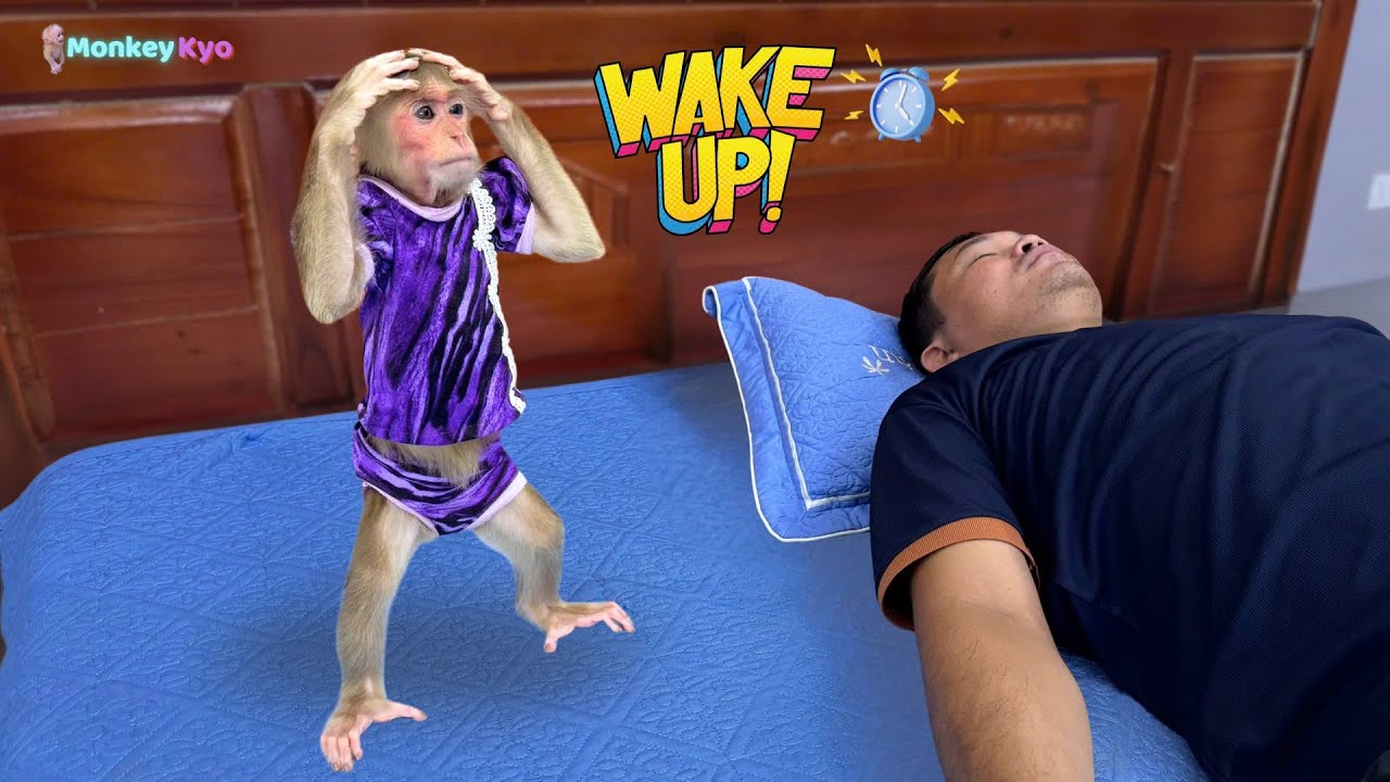 So smart! Monkey Kyo reminds dad of something important… one more time!