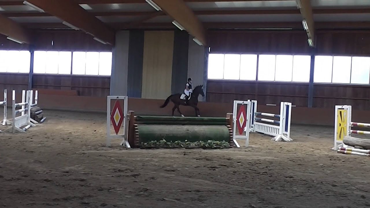 2014 Reitabzeichen Klasse 3 A**-Springen Hof Schulze Niehues