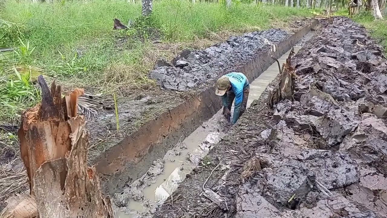 MEMBUAT PARIT PAKAI CANGKUL. || PERLU