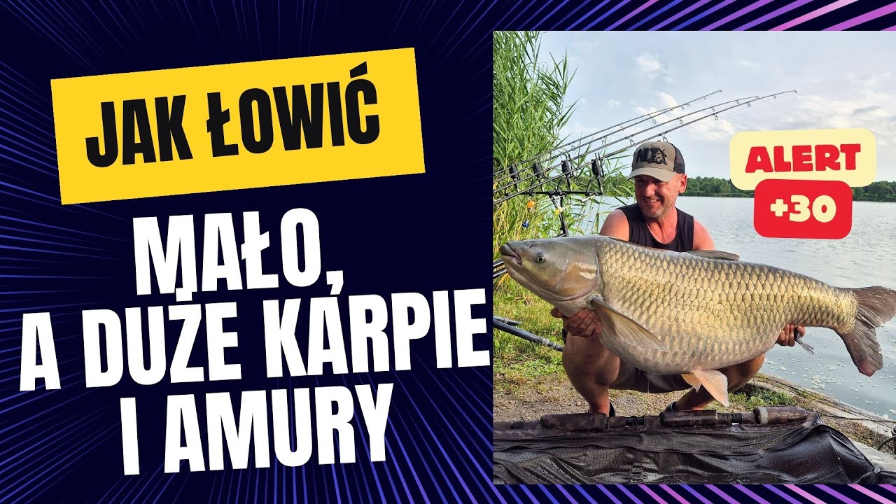 Jak łowić mało, a duże karpie i amury - Sumbar 2024 - NLT.SKLEP.PL
