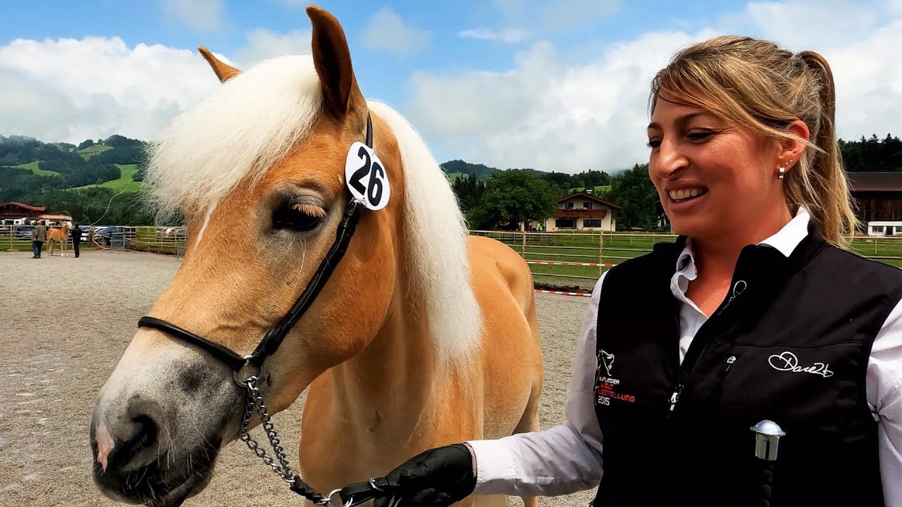 TIROLER HAFLINGER LANDESSCHAU 2022