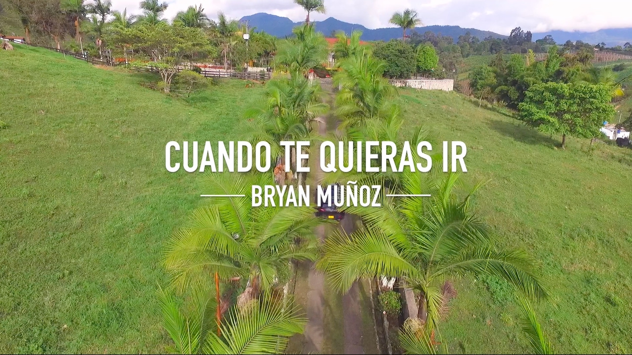 Bryan Muñoz - Cuando te quieras ir