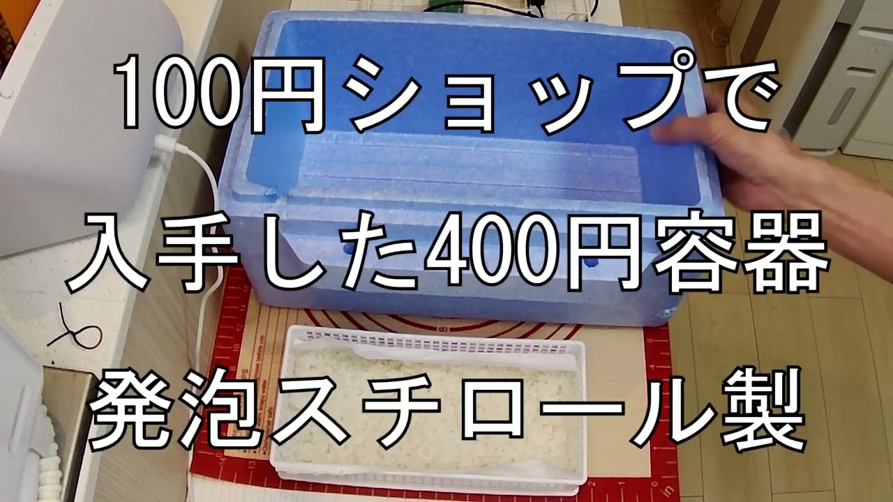 これは盲点！簡単に生麹を作る方法を発見1（電子レンジと自作恒温器で生麹を作る）