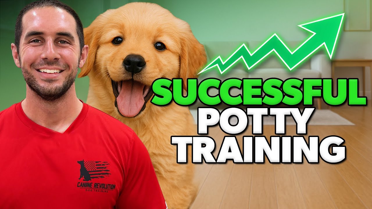 Puppy Potty Training in under 10 minutes - PROVEN Method That Works!