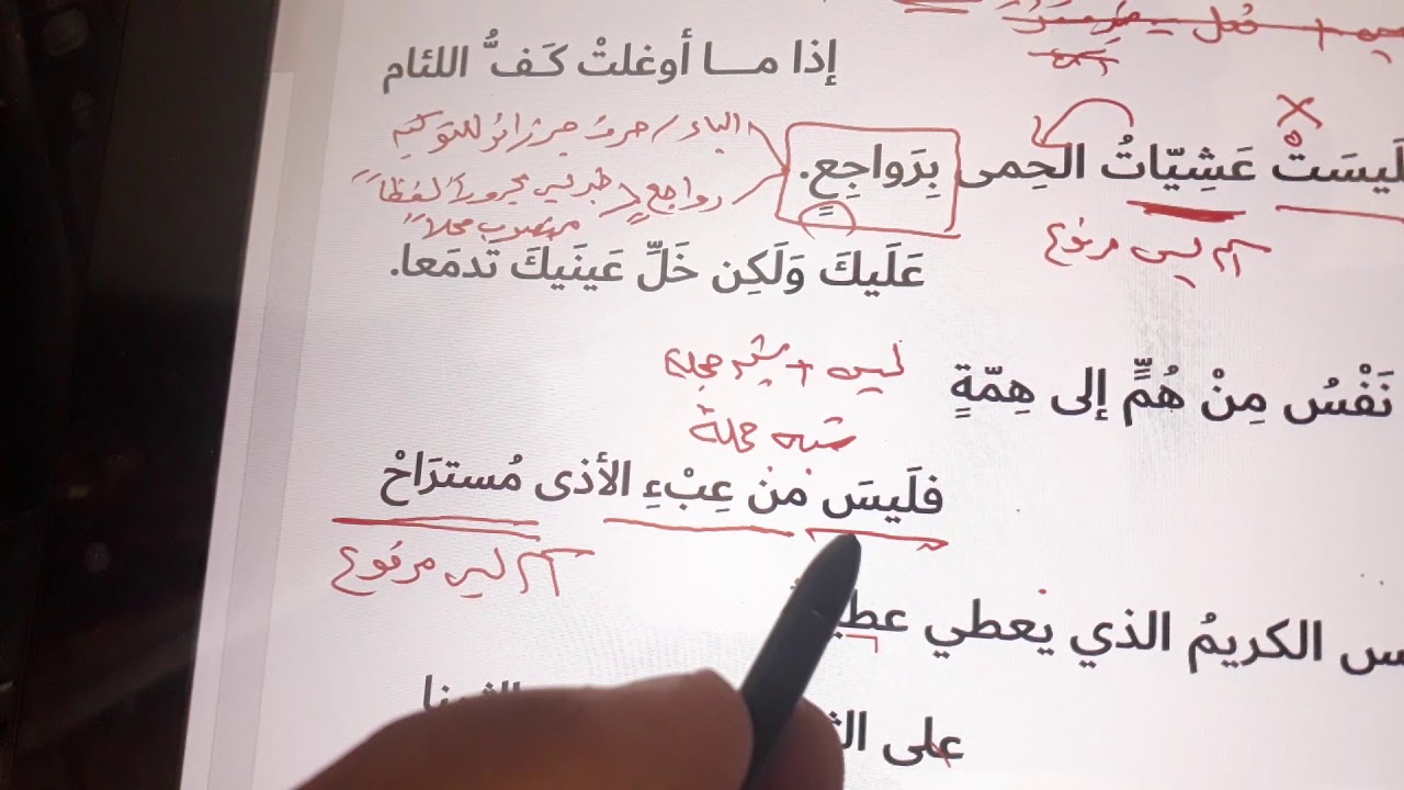 أمثلة حول ليس ومعموليها
