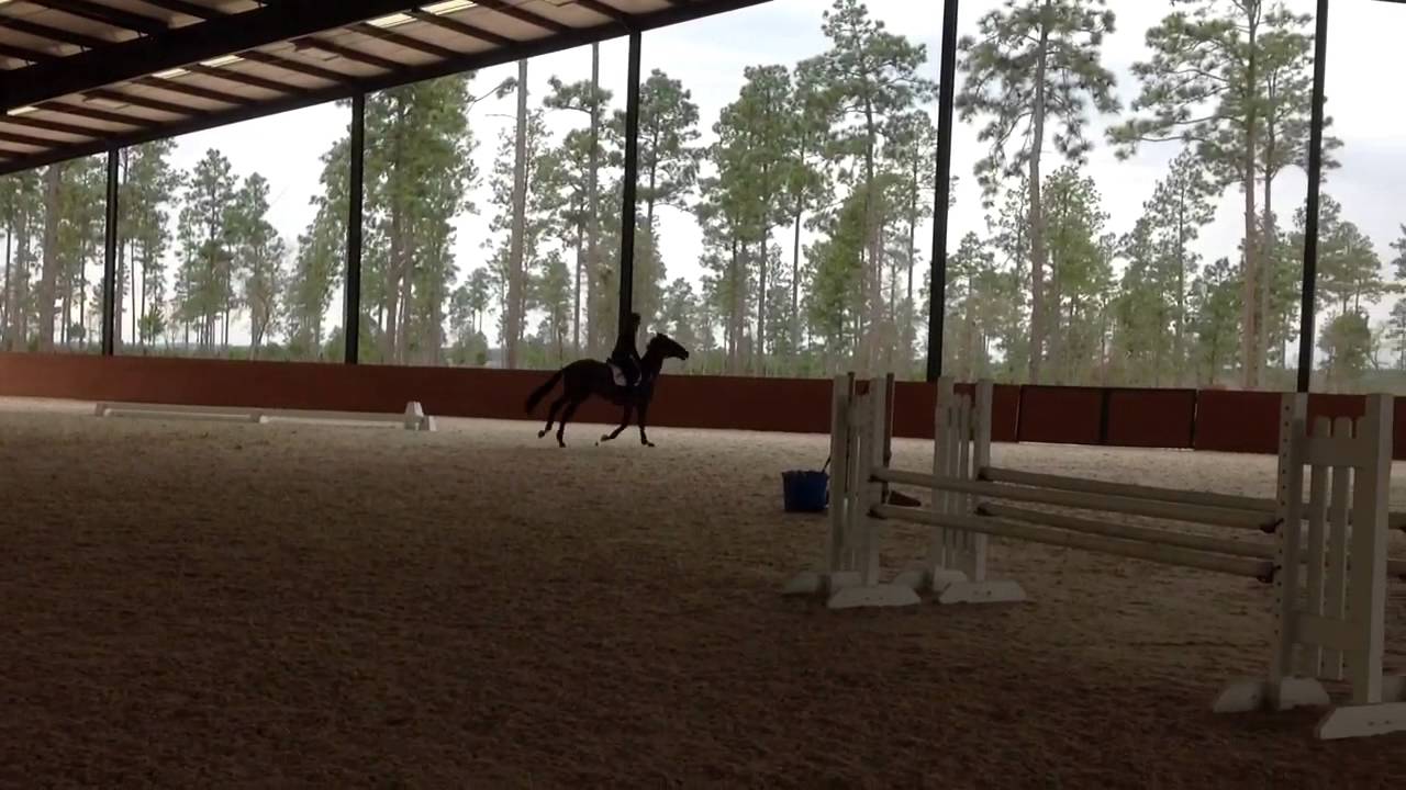 Aiken Training Sessions 2014 Jump Day