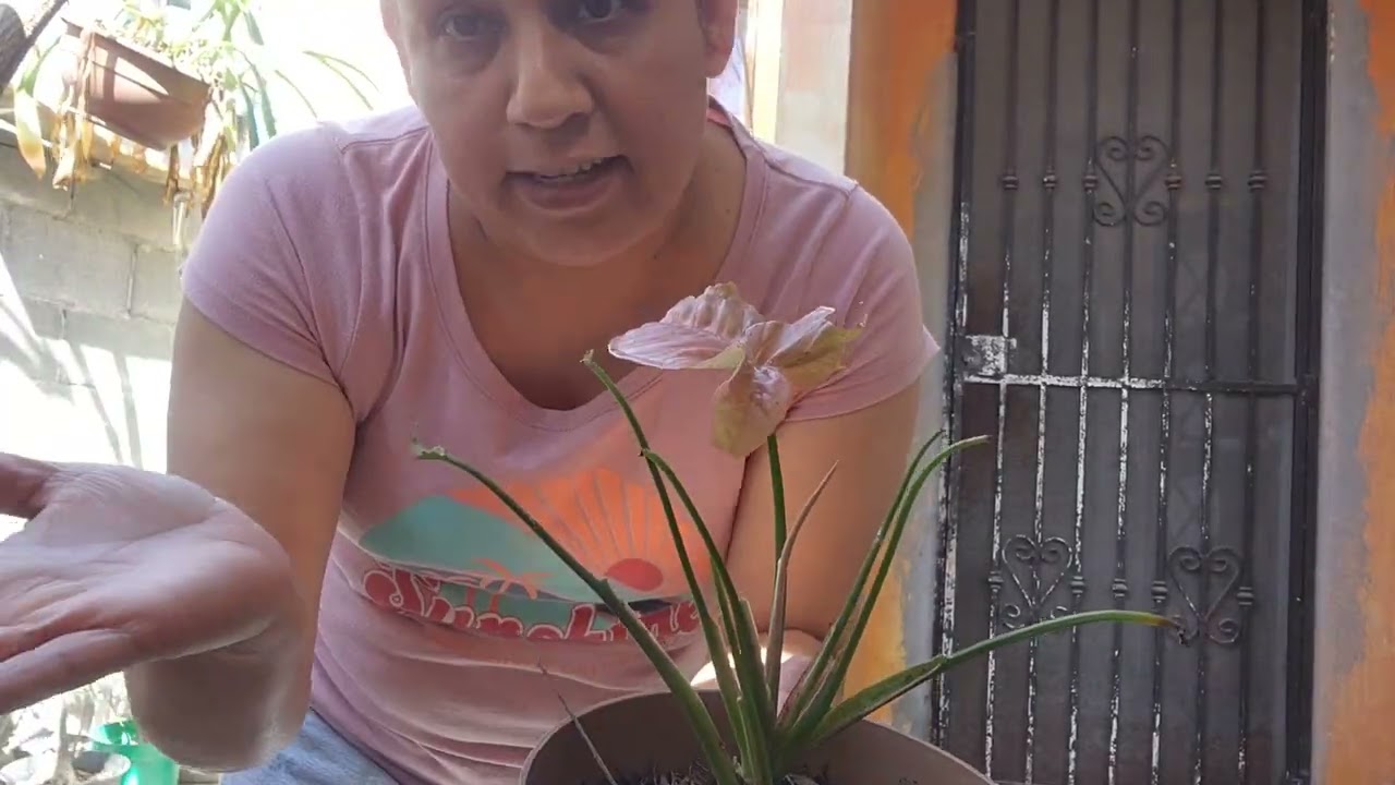 Acomodando y limpiando mi patio##me quede sin gas 