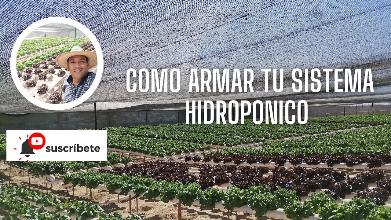 COMO HACER  🚧👷‍♂️ UN SISTEMA HIDROPONICO 🏗️ PASO A PASO