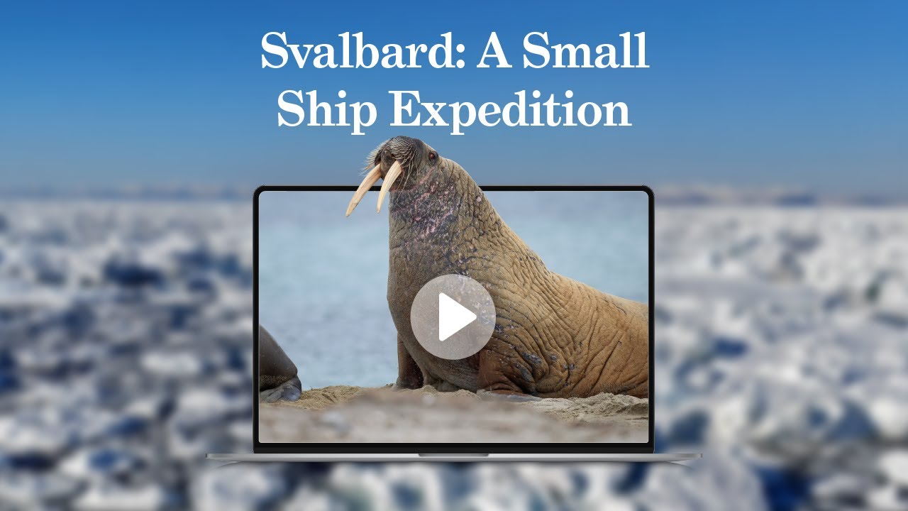 Discover Svalbard with Bret Charman - 4 November 2025