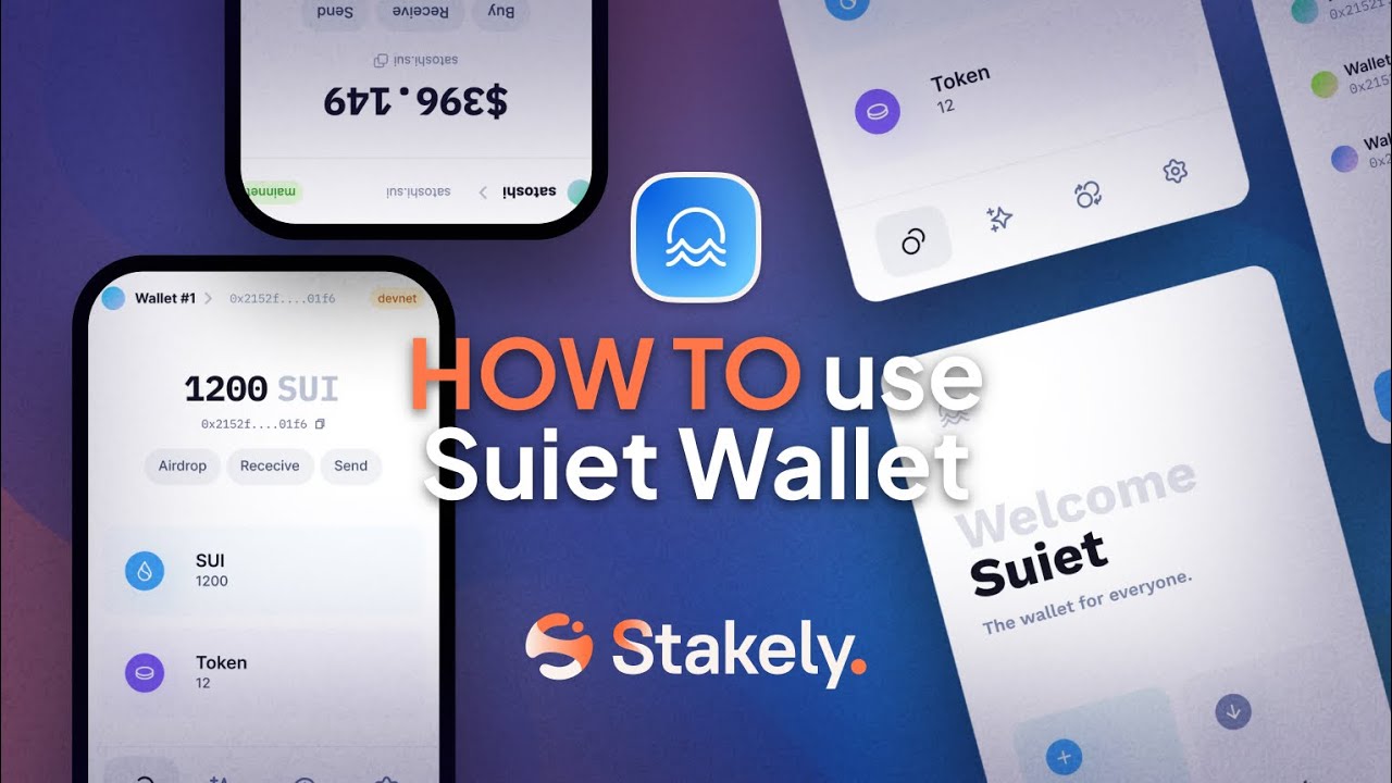 How to use Suiet Wallet | Complete user guide