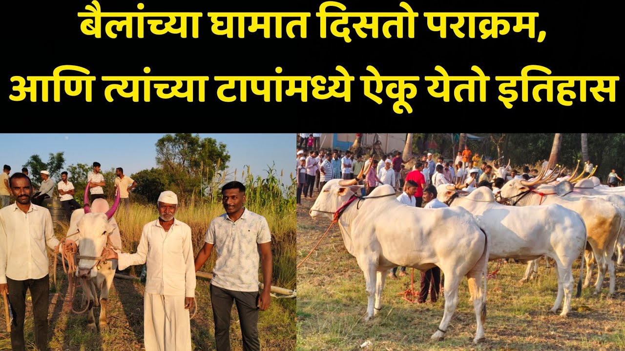 ही ताकदीची चाचणी नाही…ही श्रद्धेची शपथ आहे