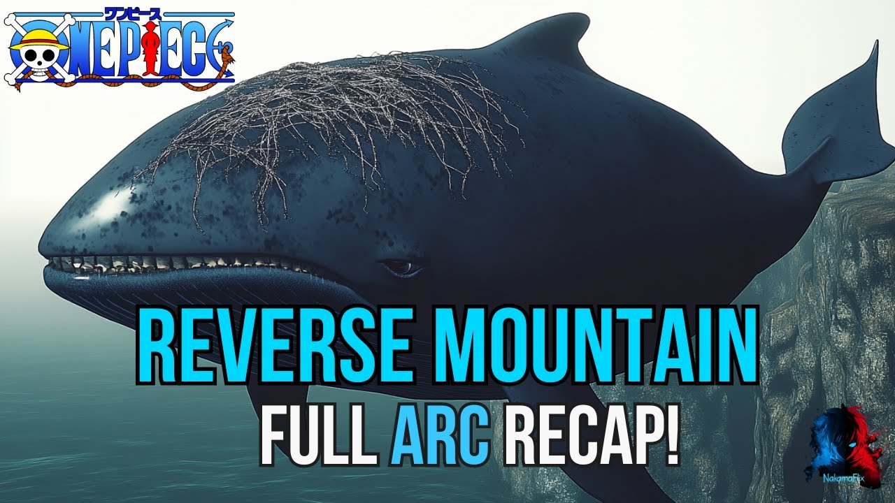 One Piece Reverse Mountain Full Recap