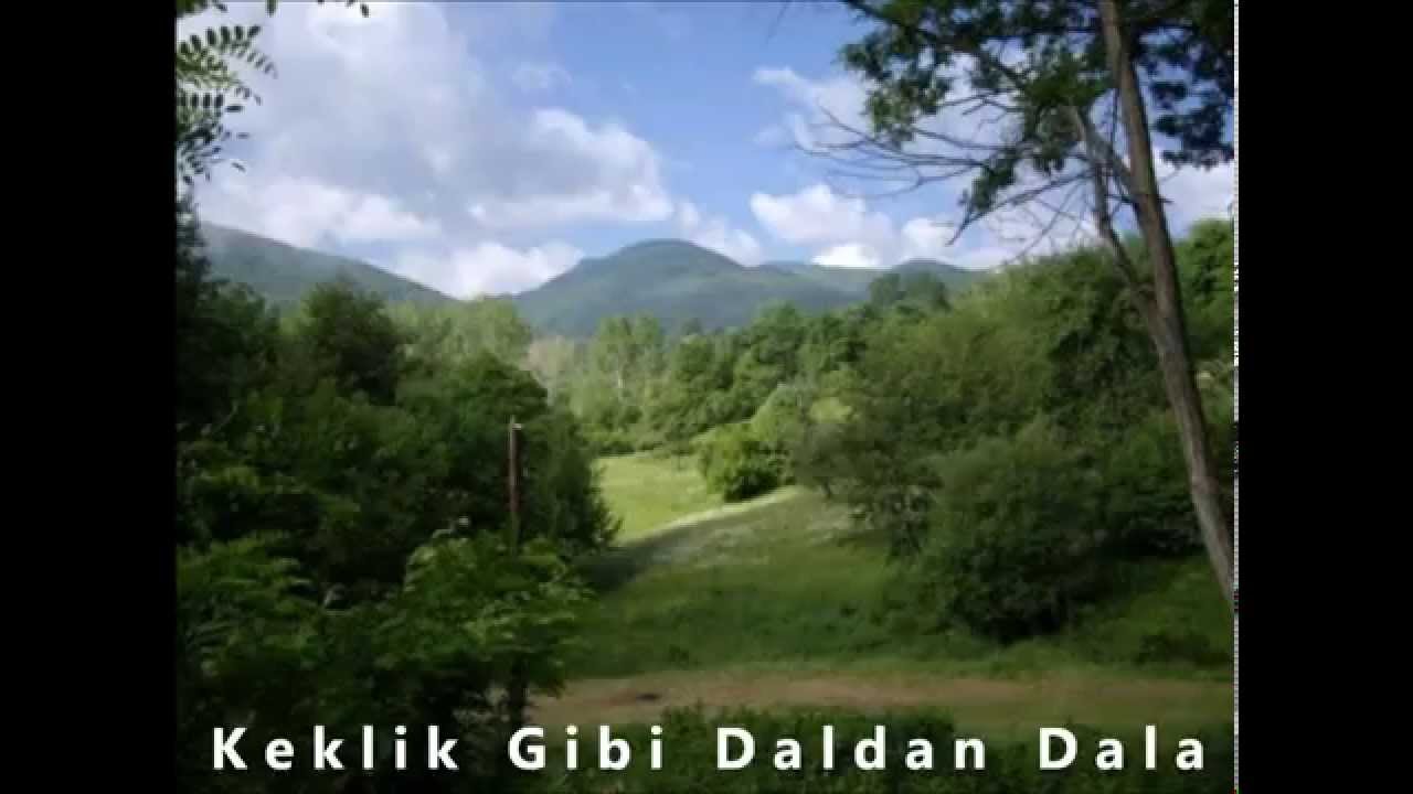 Keklik Gibi Daldan Dala - Beyti Beytulov
