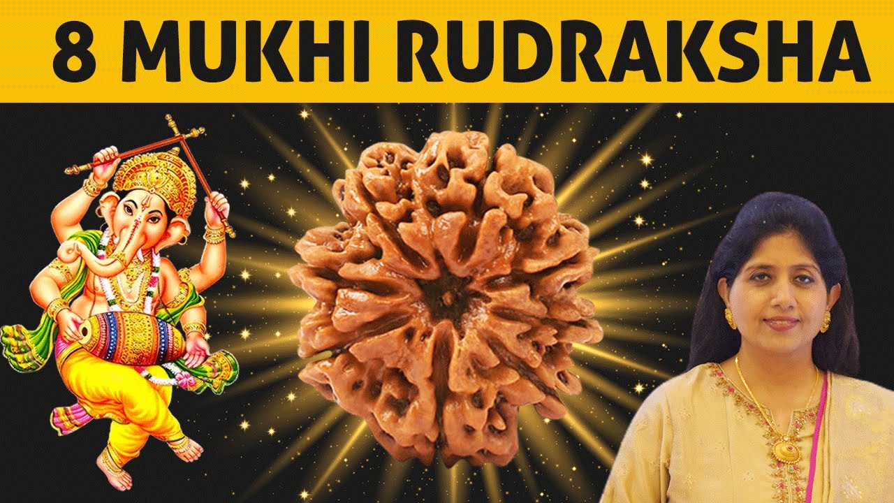 8 Mukhi Rudraksha | Achieve Riddhi (Wealth), Siddhi (Powers) & Buddhi (Intellect) | Awaken Kundalini