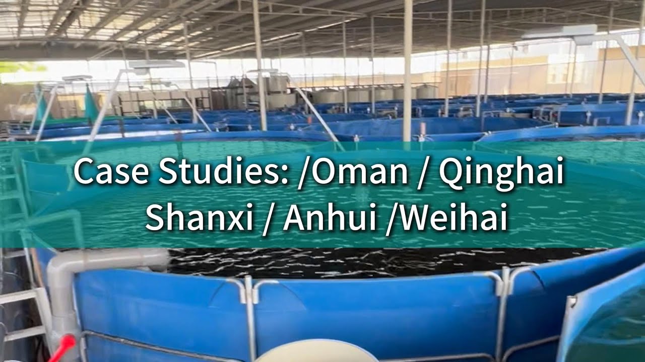 How Recirculating Water Systems Revolutionize Fish Farming (Oman/Qinghai/Shanxi Cases)