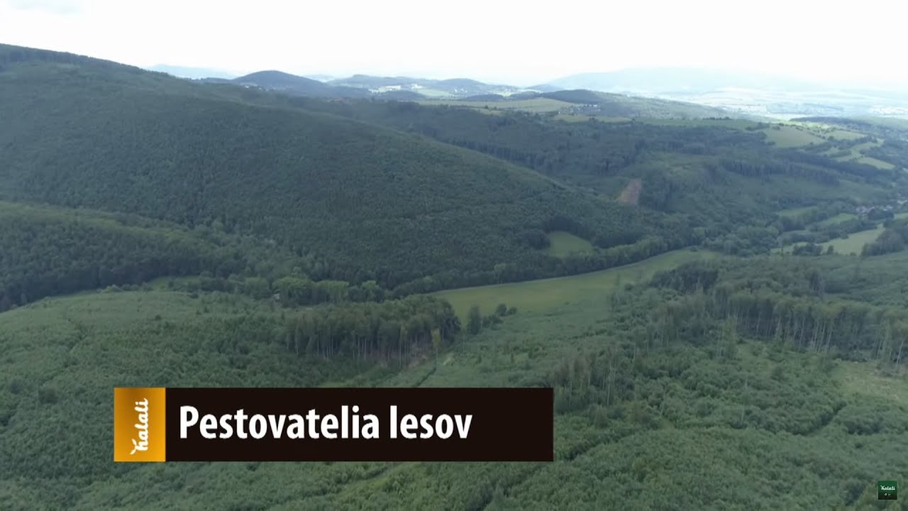 Pestovatelia lesov