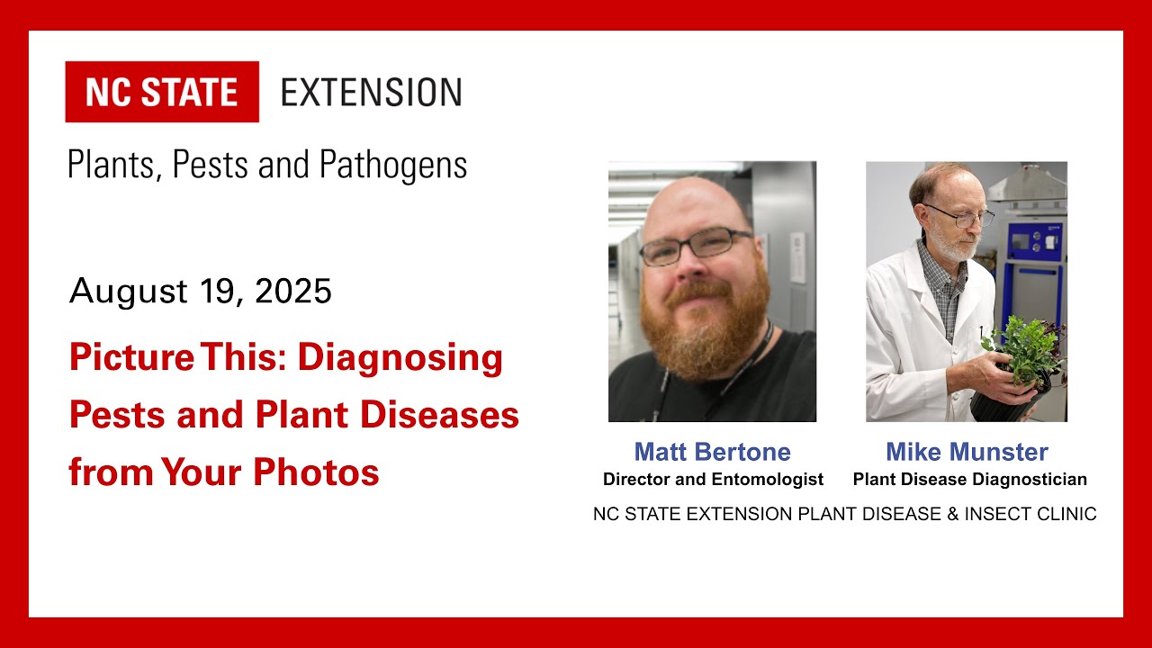 PPP August 2025 | Picture This: Diagnosing Pests and Plant Diseases from Your Photos