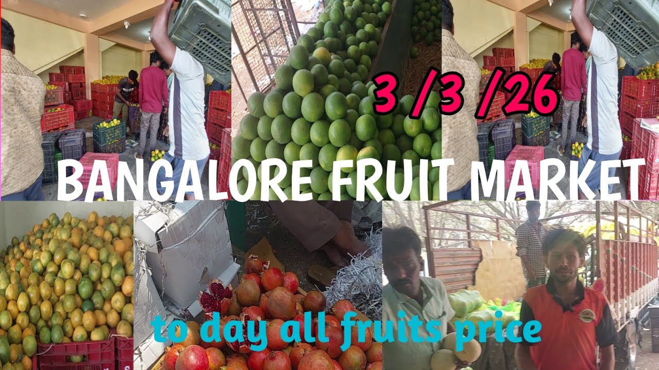 BANGALORE FRUIT MARKET  || aaj ka savi phal ka price  || TO DAY ALL FRUIT PRICE 