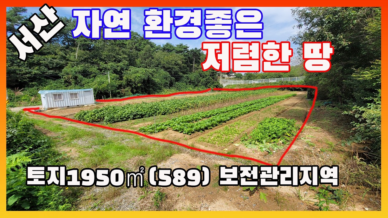 [물건번호3530]충남 서산시 부석면 아스팔트 옆 도로 옆  가격저렴한 급매  