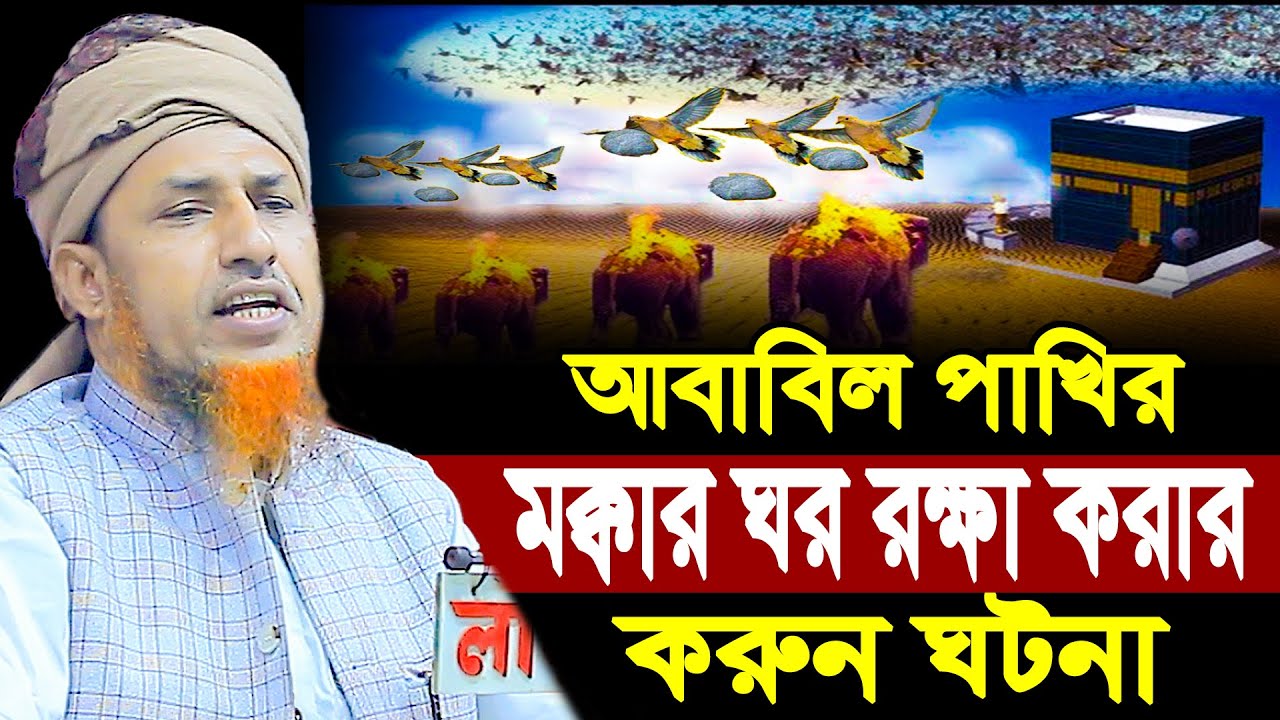 আবাবিল পাখির মক্কার ঘর রক্ষা করার ক*রুন ঘটনা | ওয়ালিউল্লাহ Mufti Waliullah New Waz 2025