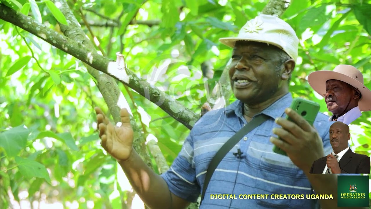 MUSEVENOMICS: Successful Stories in Busoga Subregion