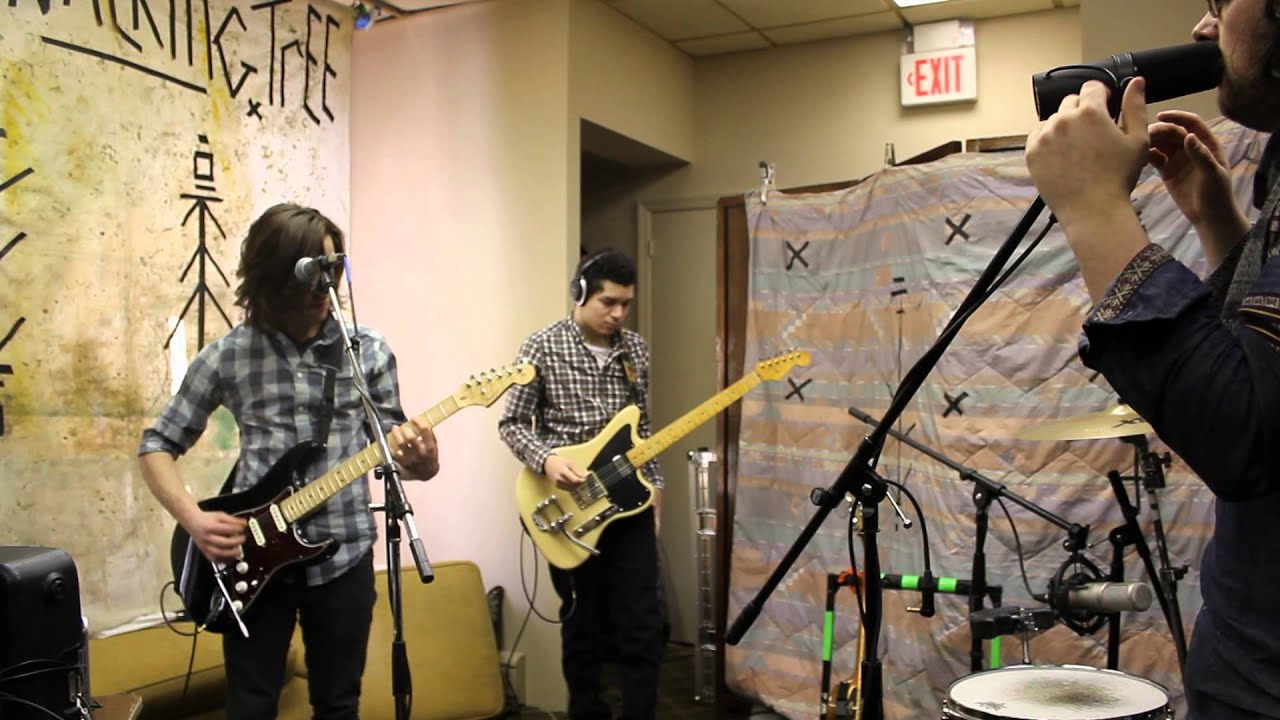 The Walking Tree, We Are Free (Swan Sessions)